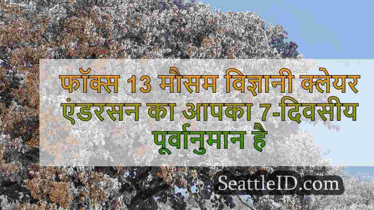 सिएटल समाचार SeattleID