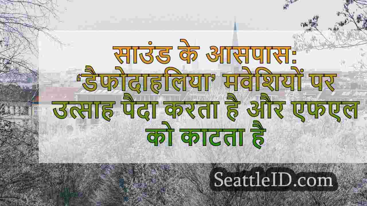 सिएटल समाचार SeattleID