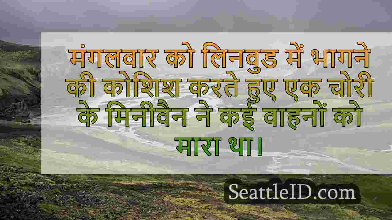 सिएटल समाचार SeattleID