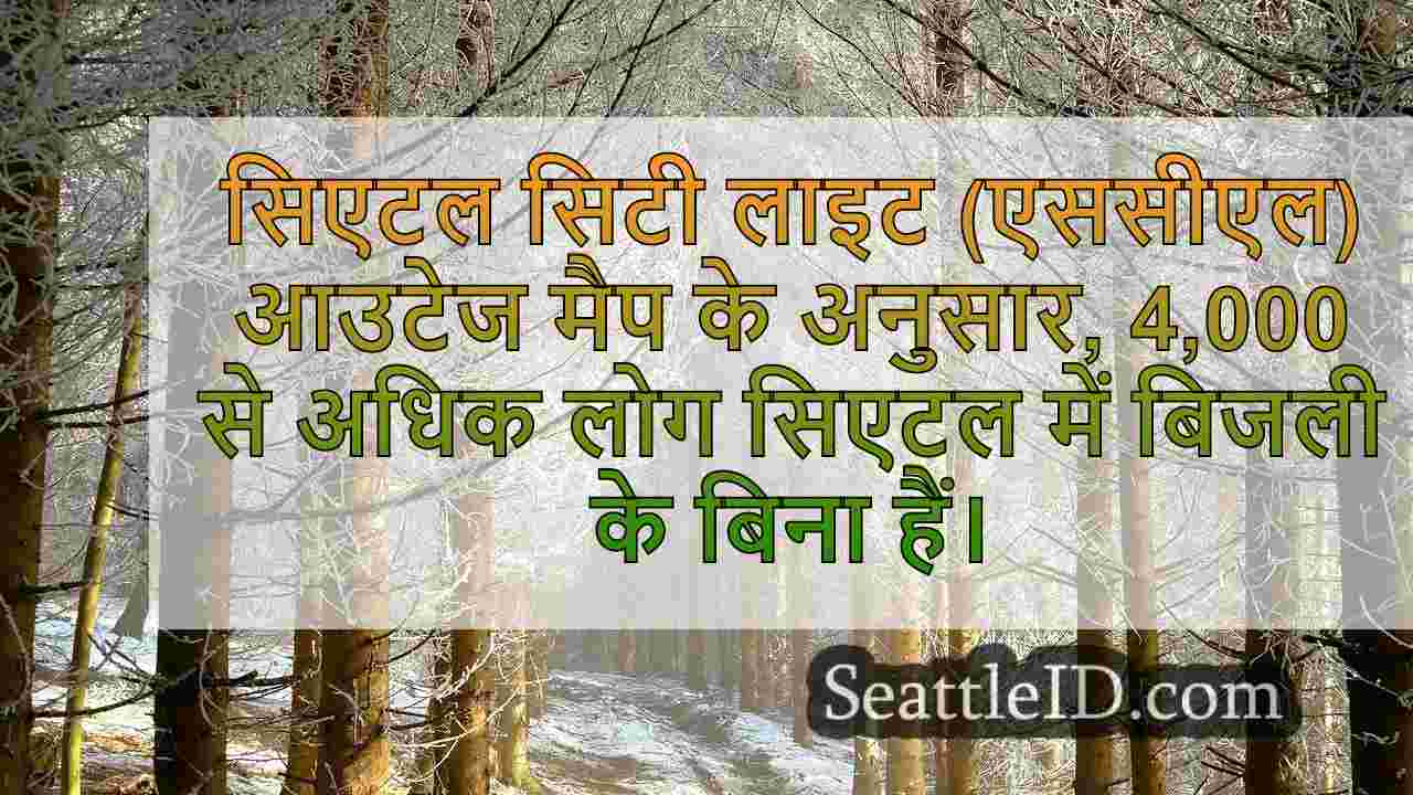 सिएटल समाचार SeattleID