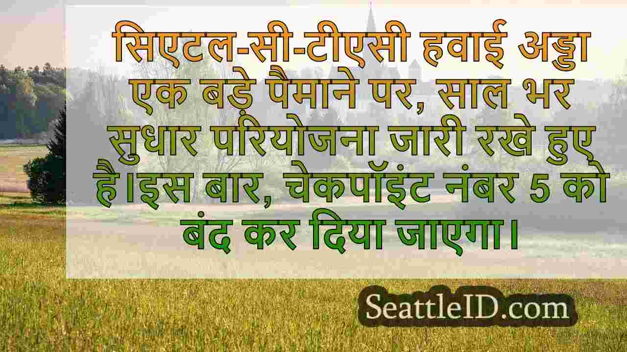 सी-टीएसी हवाई अड्डे ने नवीकरण के लिए