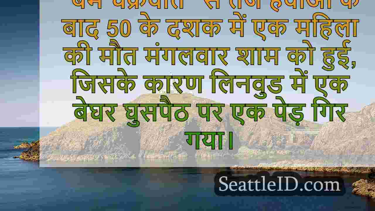 सिएटल समाचार SeattleID