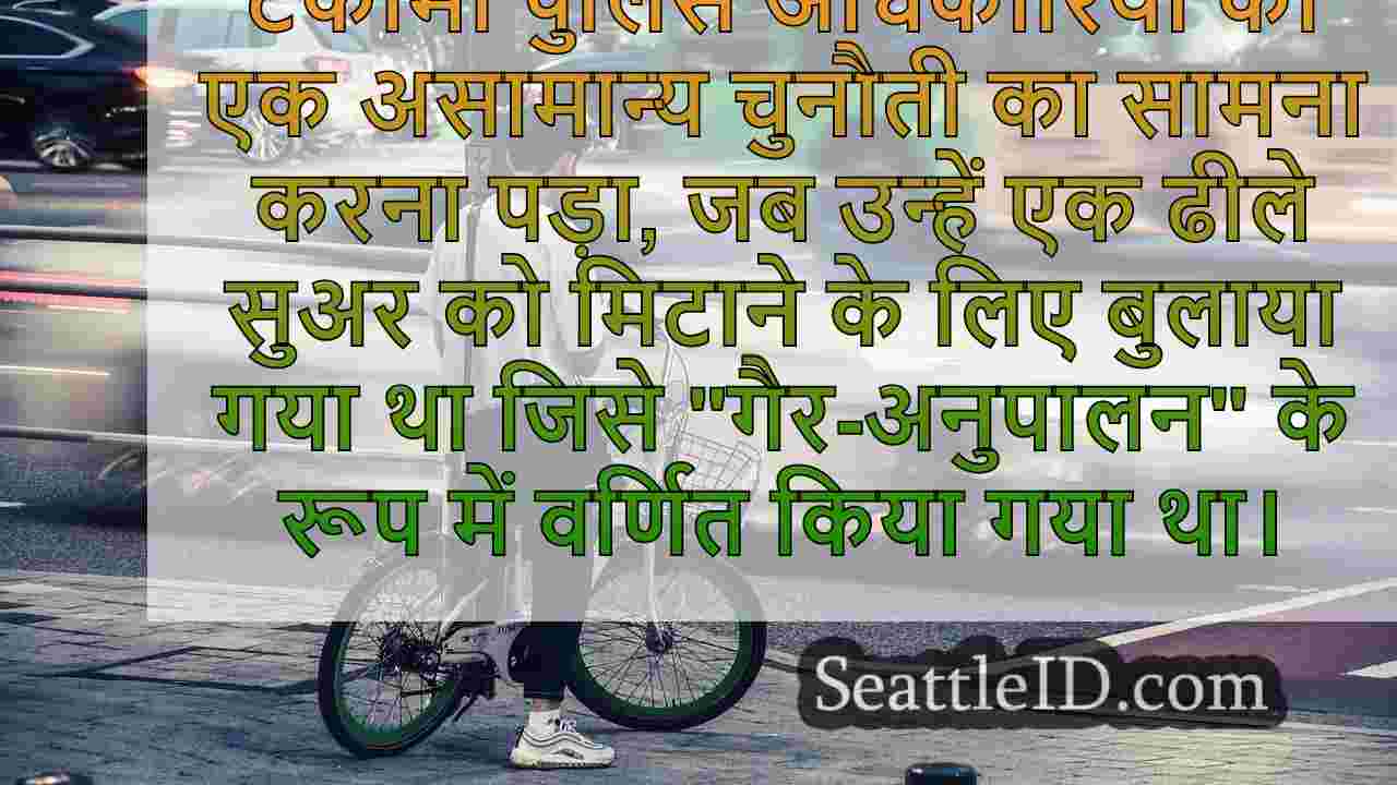 सिएटल समाचार SeattleID