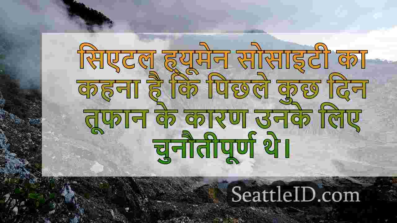 सिएटल समाचार SeattleID