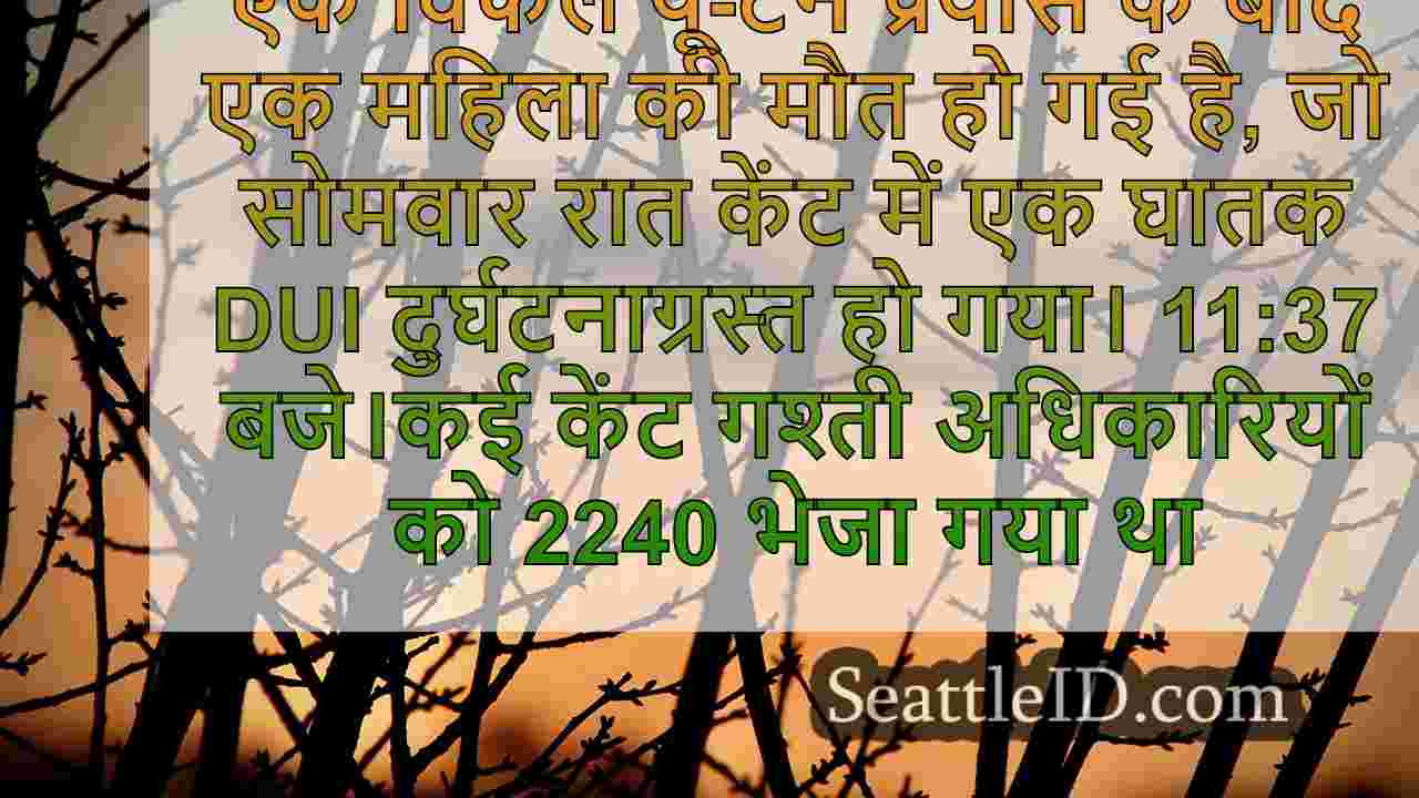 सिएटल समाचार SeattleID