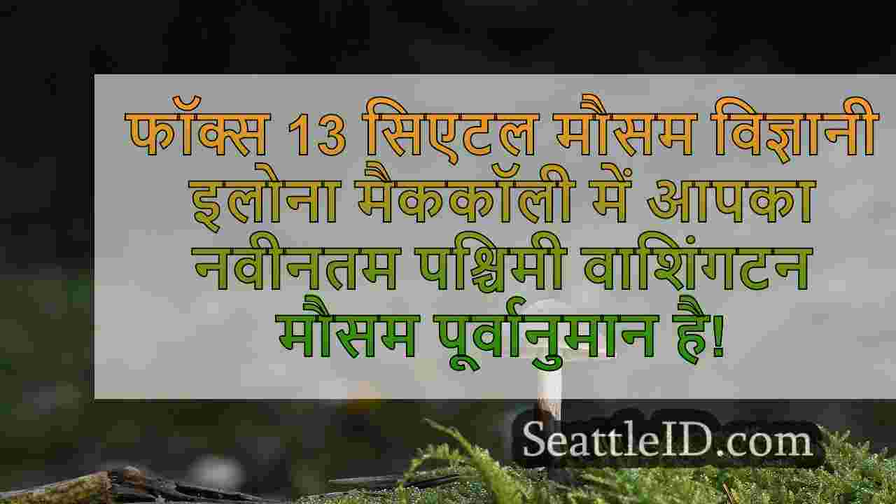 सिएटल समाचार SeattleID