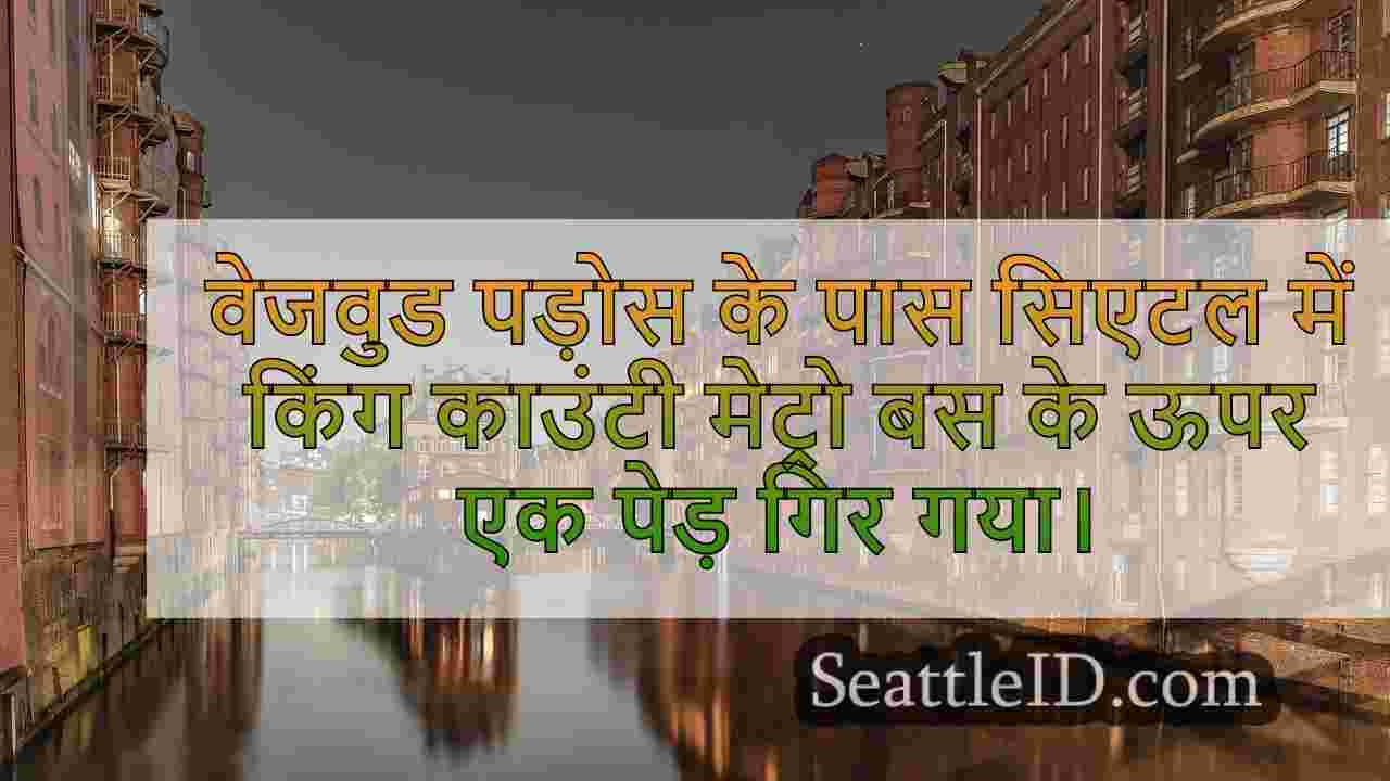 सिएटल समाचार SeattleID