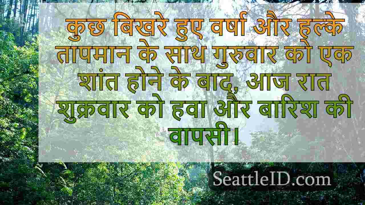 सिएटल समाचार SeattleID
