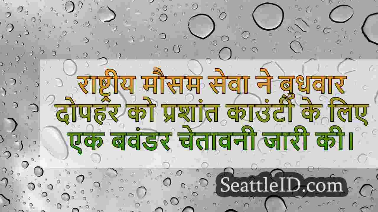 सिएटल समाचार SeattleID