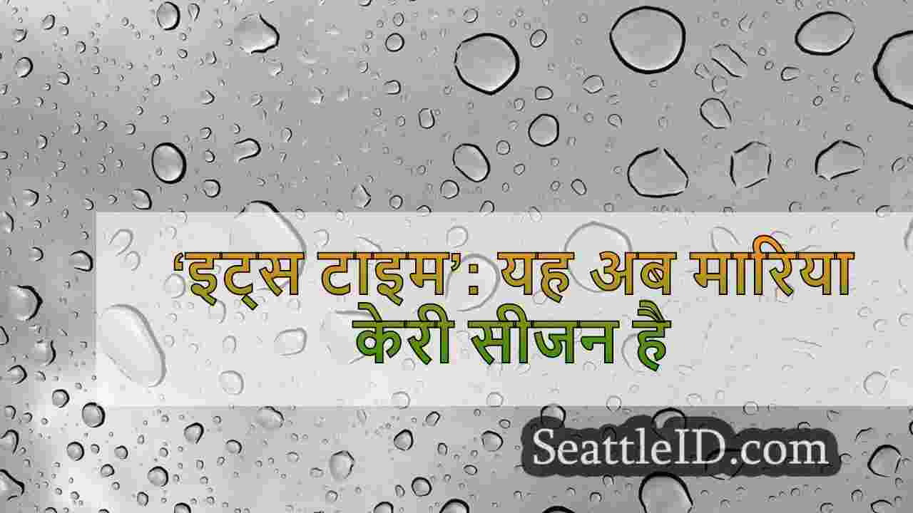 सिएटल समाचार SeattleID