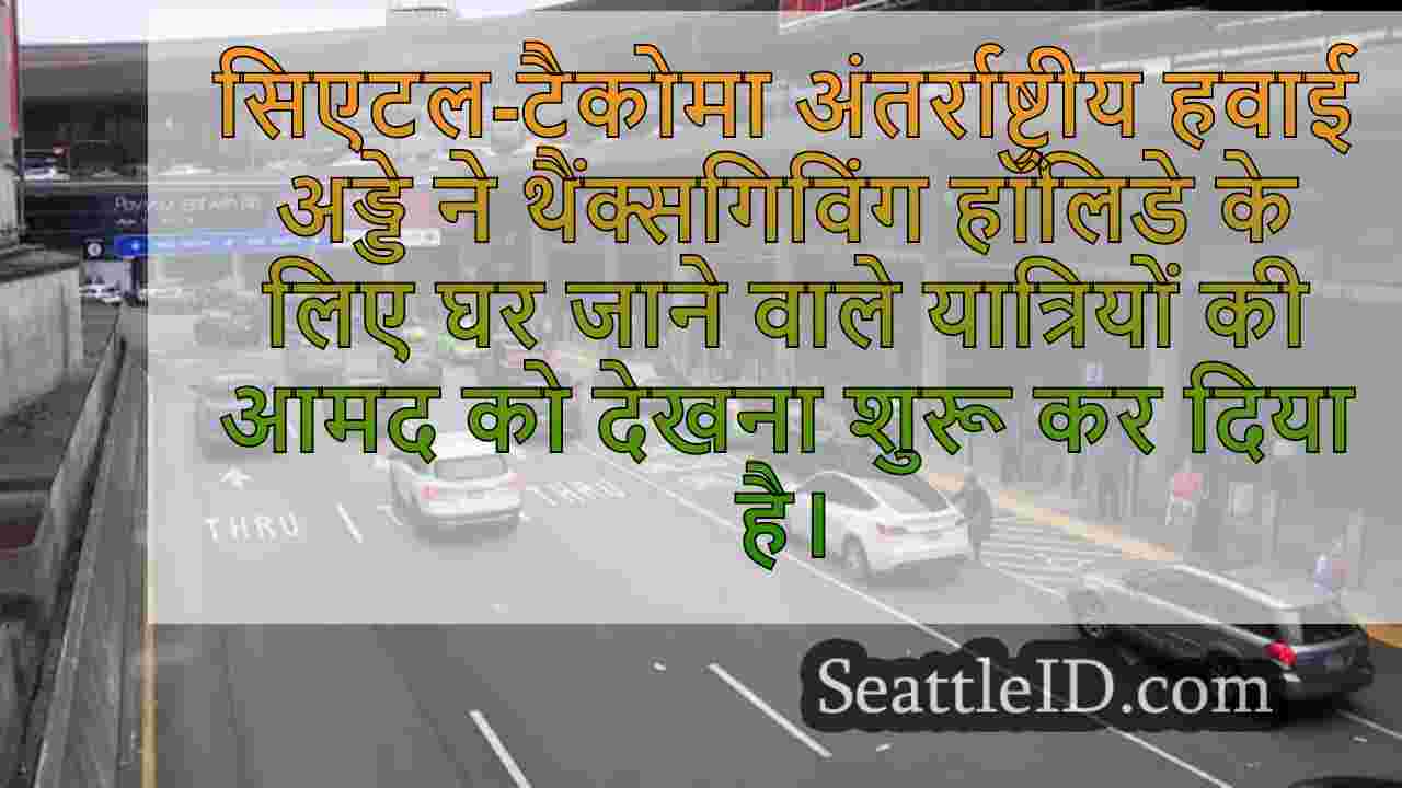 थैंक्सगिविंग ट्रैवलर्स पीक हॉलिडे रश के