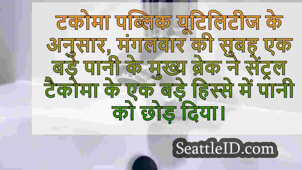 सिएटल समाचार SeattleID