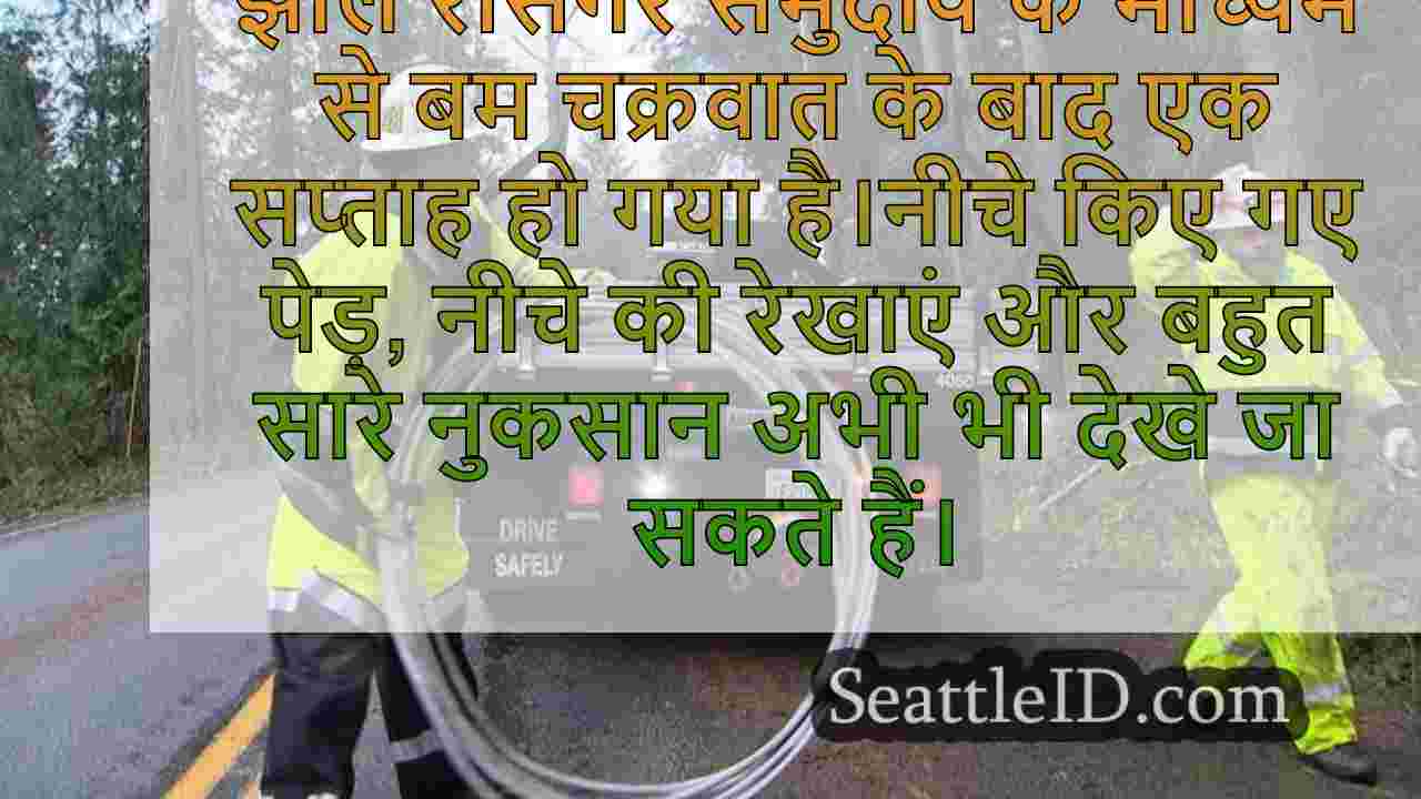 सिएटल समाचार SeattleID