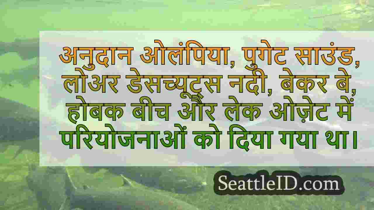 राज्य के तटरेखा संरक्षण, सैल्मन हैबिटेट