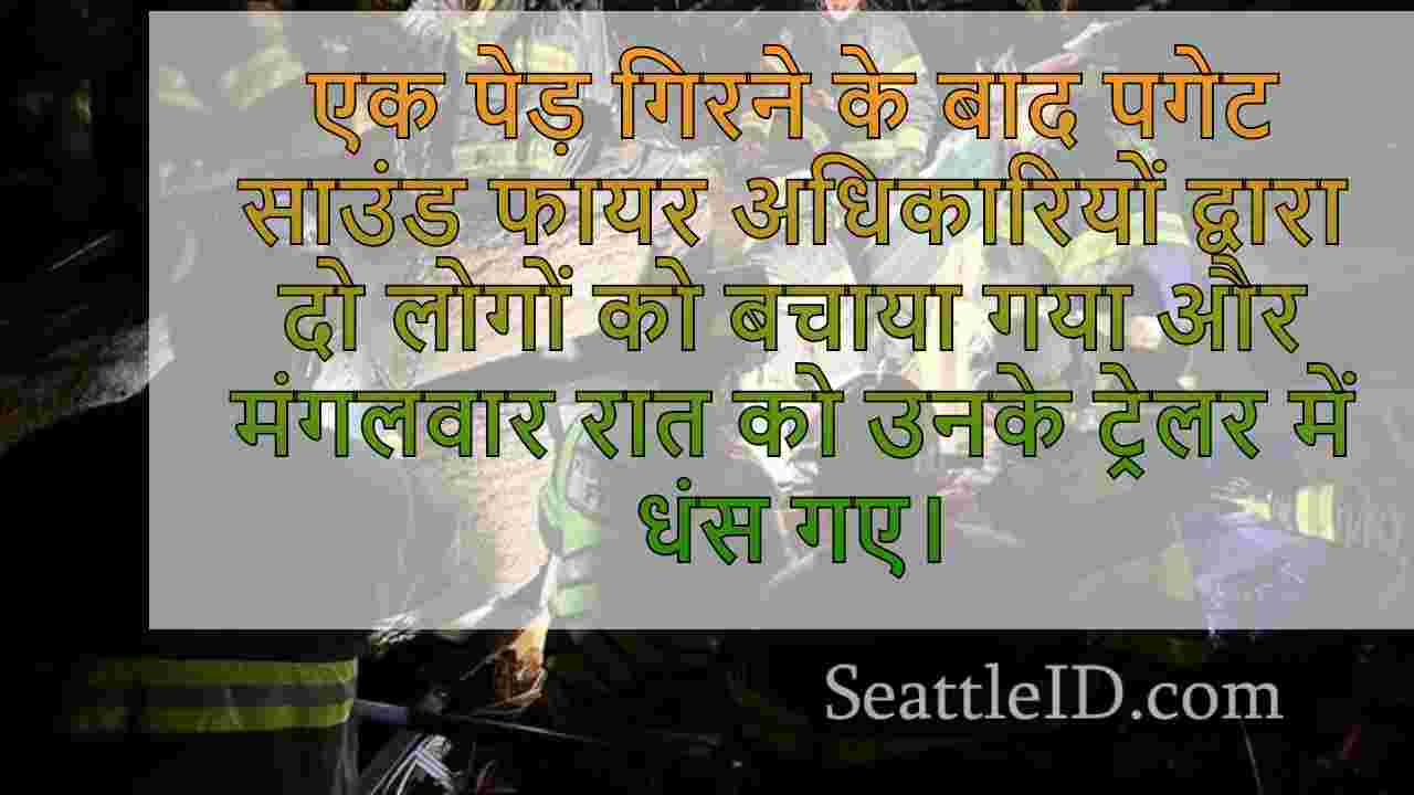 सिएटल समाचार SeattleID