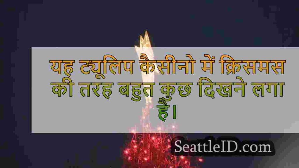 'लाइट्स एंड आइस' ट्यूलिप एम्फीथिएटर को