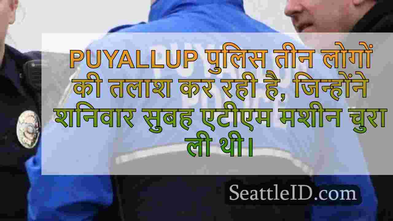 चोरी के ट्रक में पीछा करने पर चोरी के