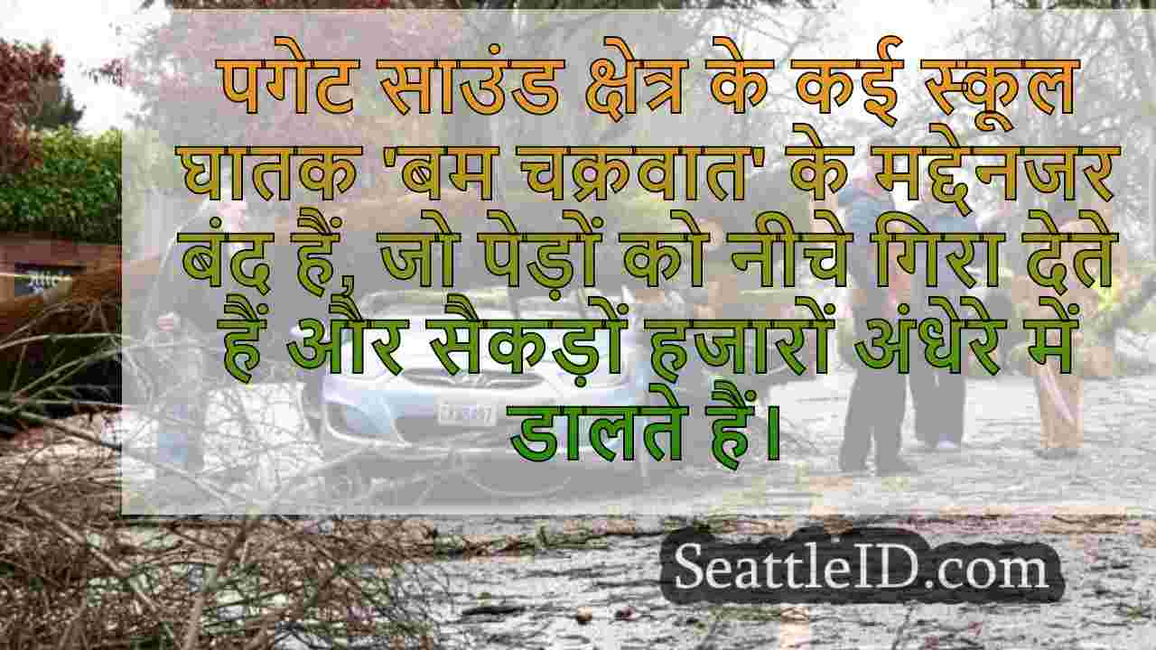 सिएटल समाचार SeattleID