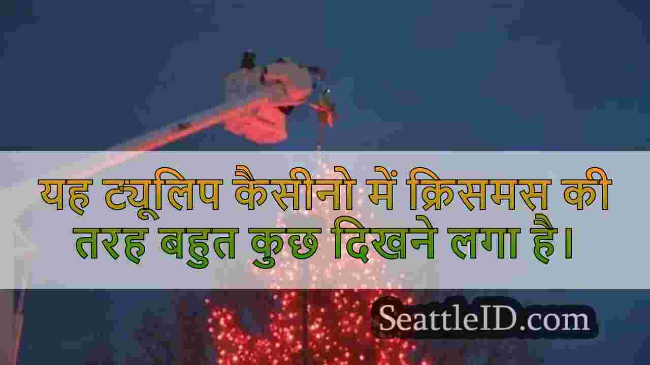 सिएटल समाचार SeattleID