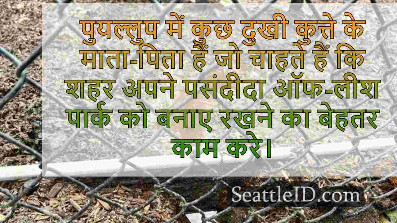 सिएटल समाचार SeattleID