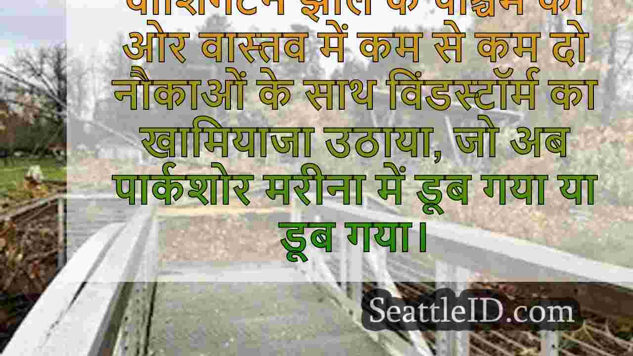 सिएटल समाचार SeattleID