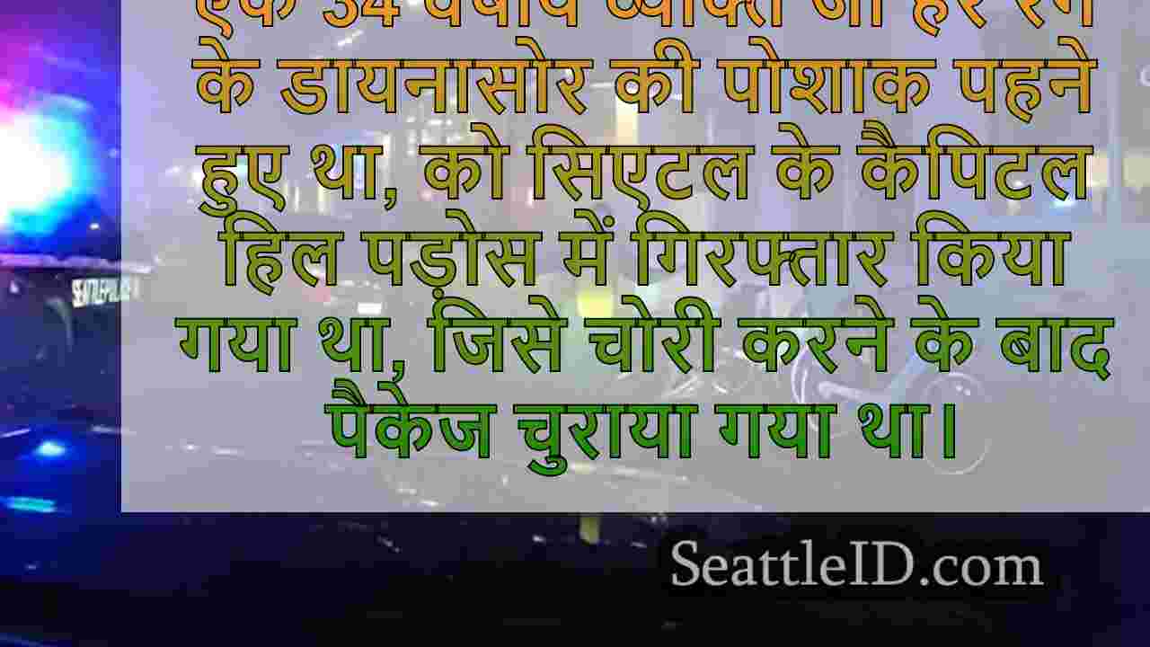 कैपिटल हिल में पैकेज चोरी करने के लिए