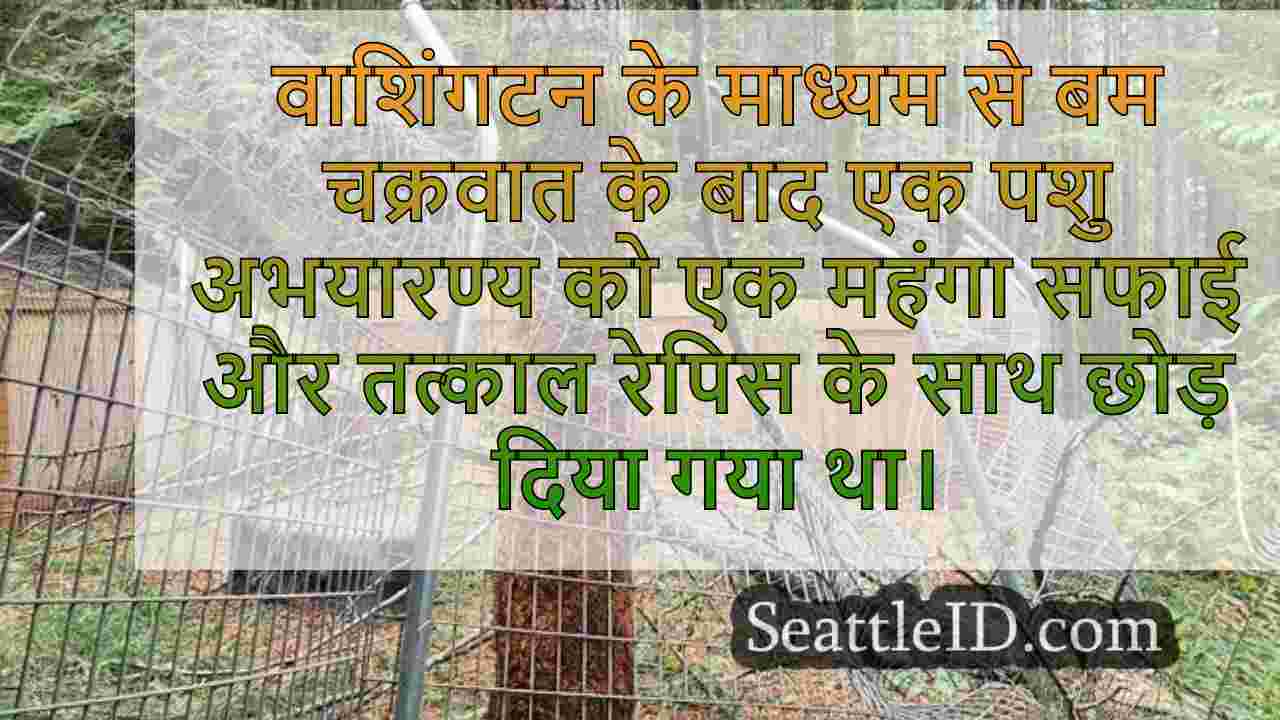 सिएटल समाचार SeattleID