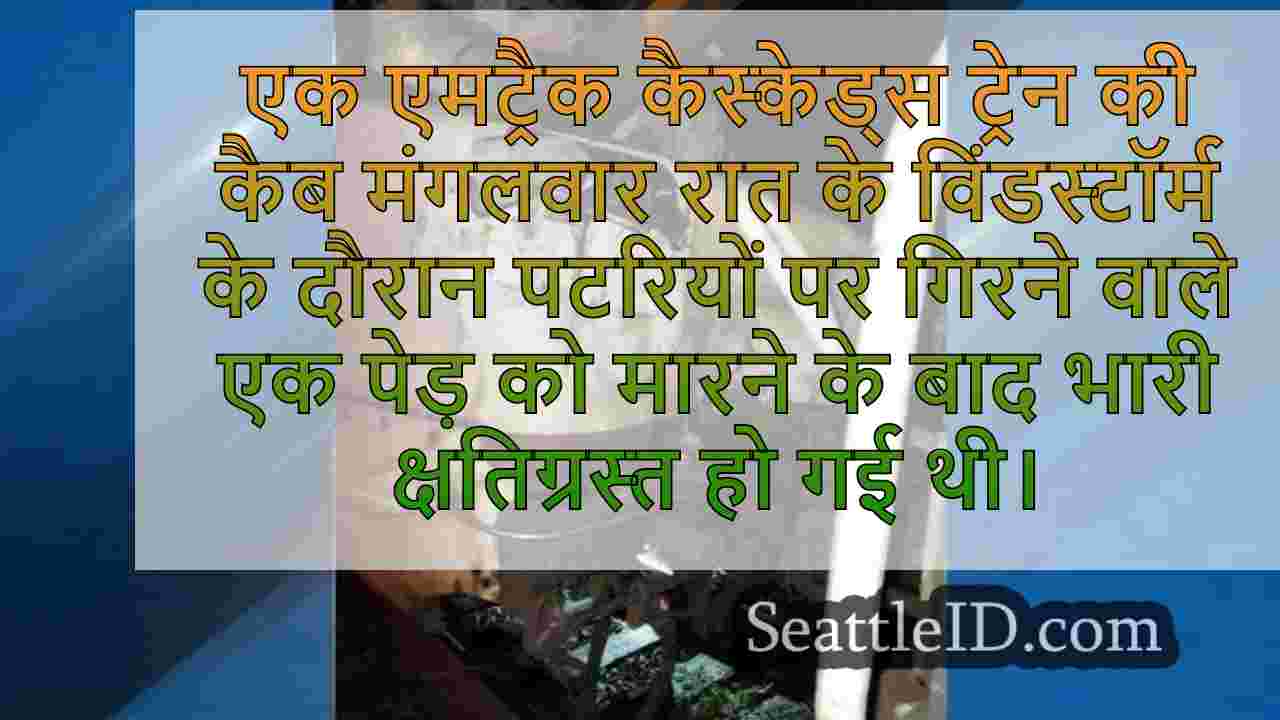 सिएटल समाचार SeattleID