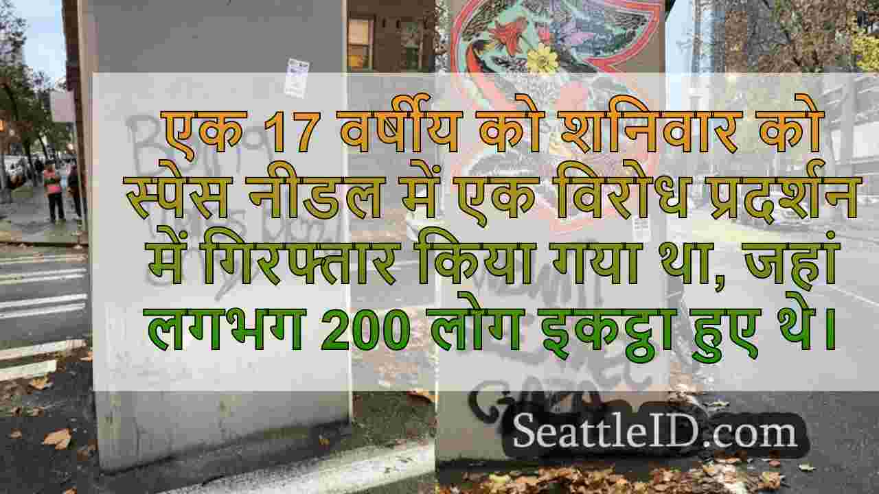 सिएटल की अंतरिक्ष सुई के पास प्रदर्शन
