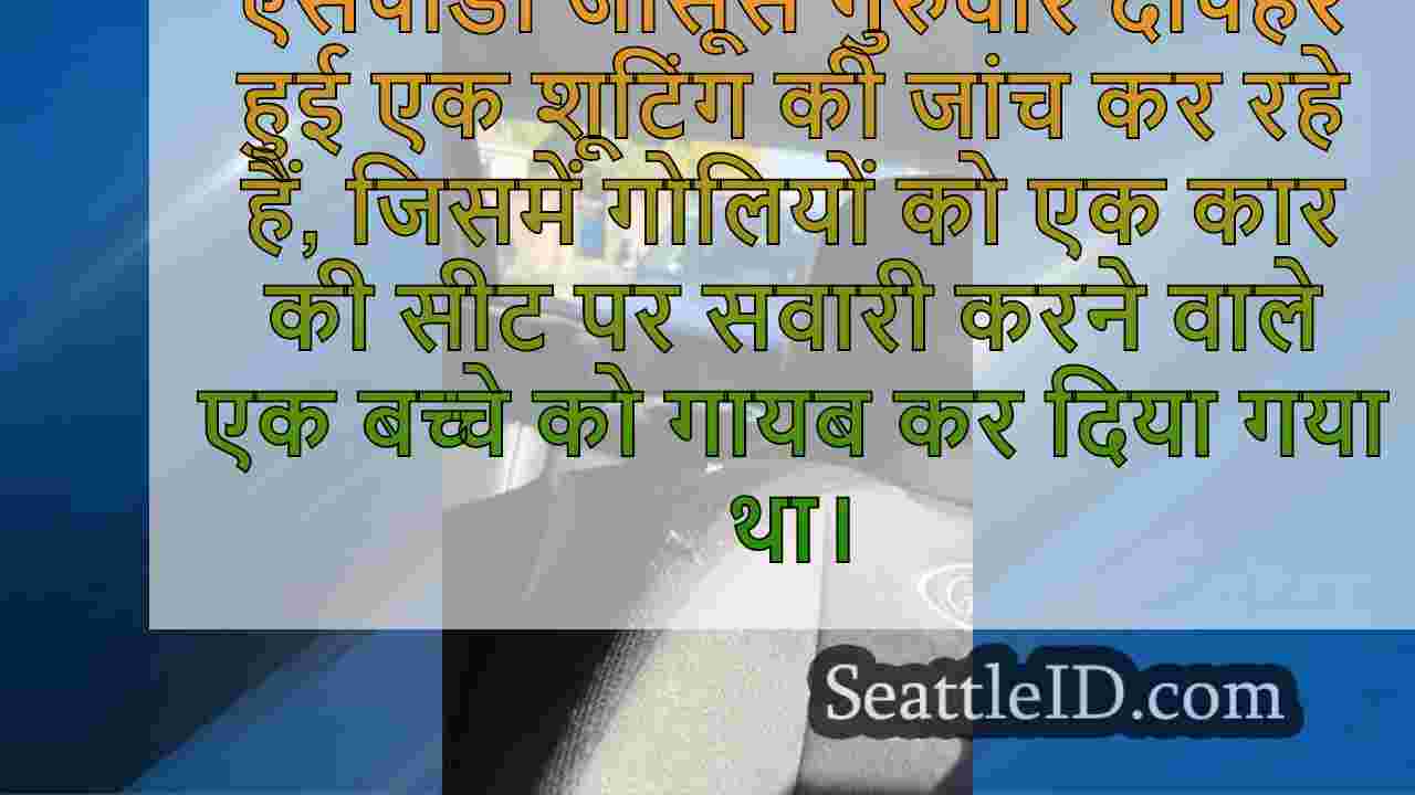 टॉडलर सिएटल के सैंडपॉइंट पड़ोस में