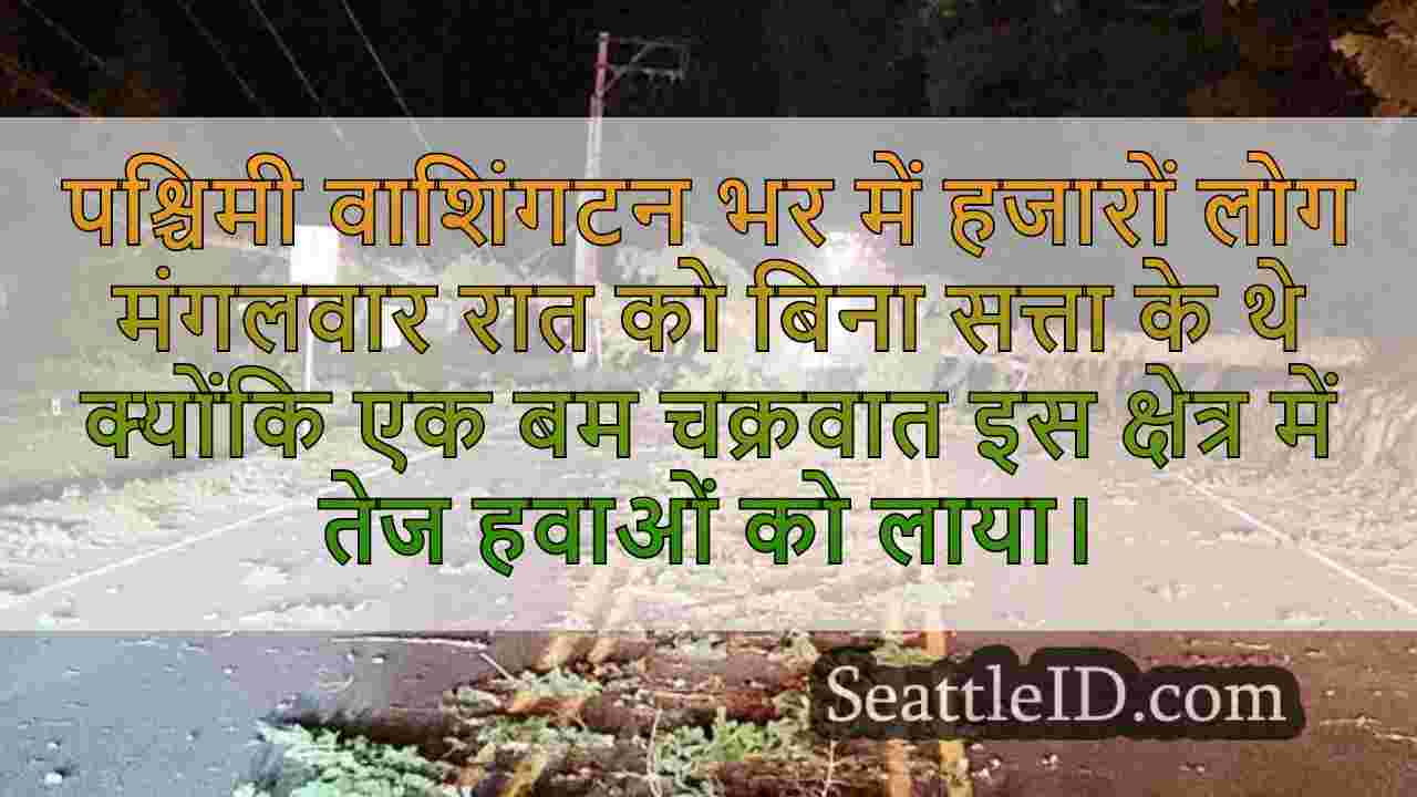 सिएटल समाचार SeattleID
