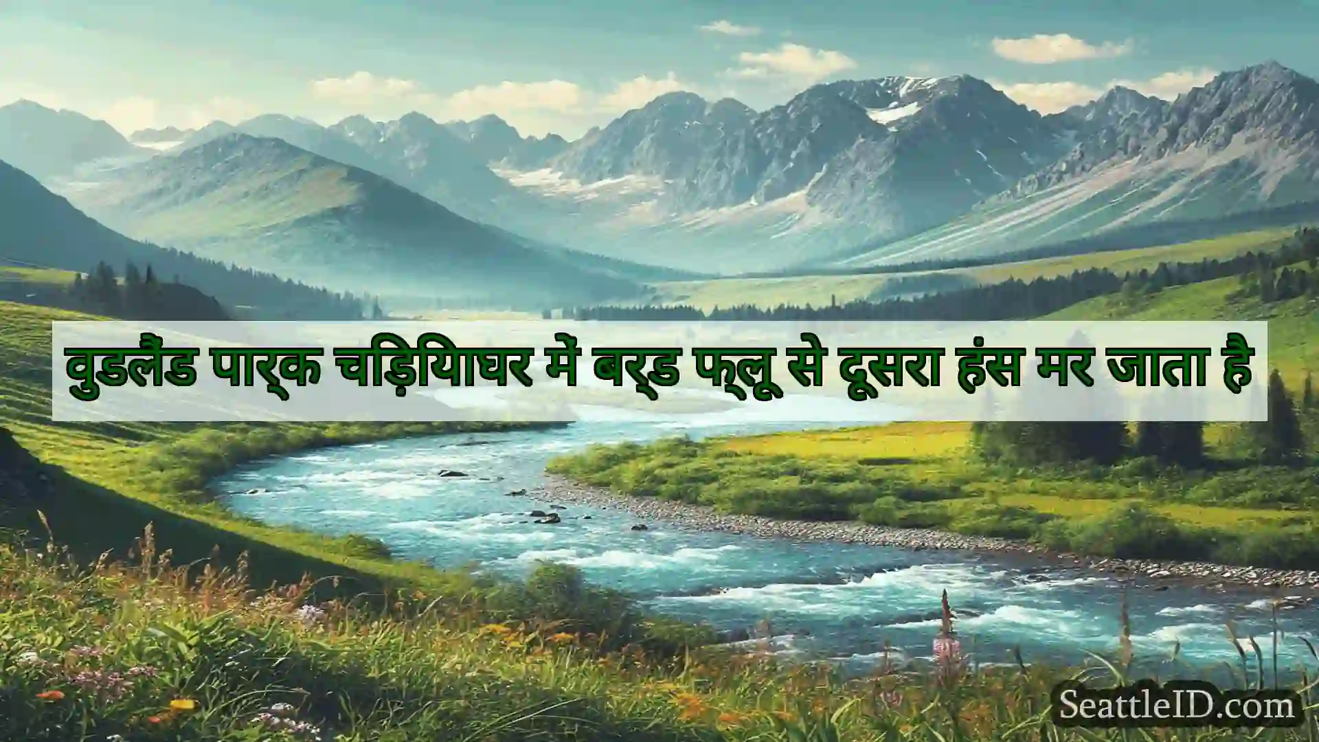 सिएटल समाचार वुडलैंड पार्क चिड़ियाघर में बर्ड