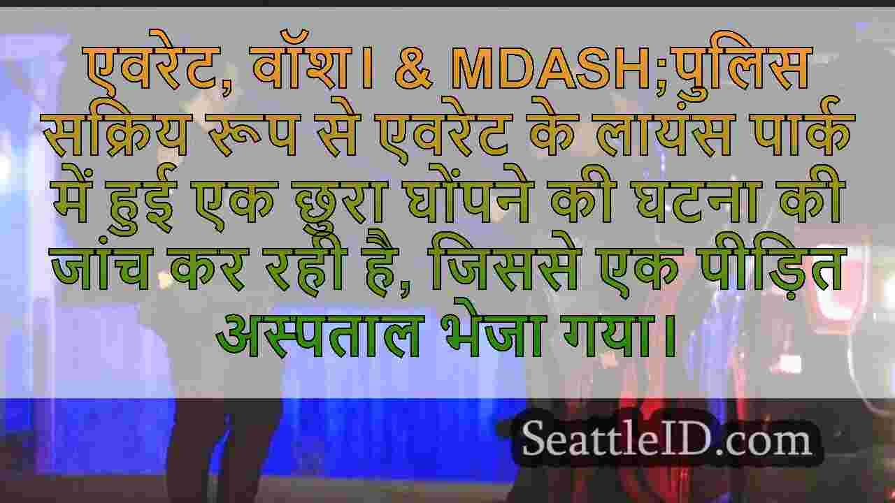 एवरेट पार्क में किशोर छुरा घोंपने के