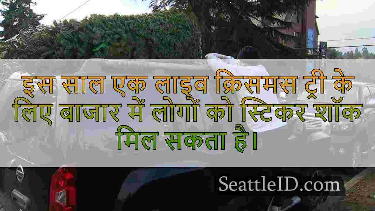 सिएटल-क्षेत्र के पेड़ के लॉट्स