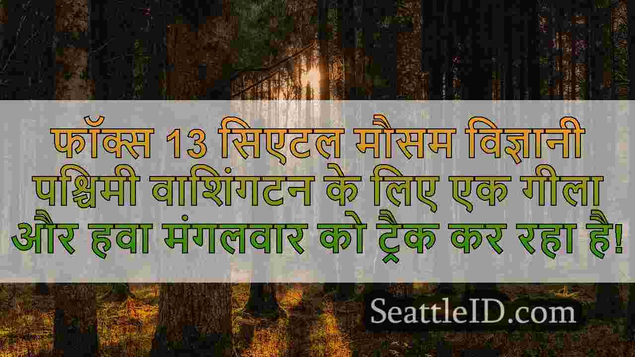 सिएटल समाचार SeattleID