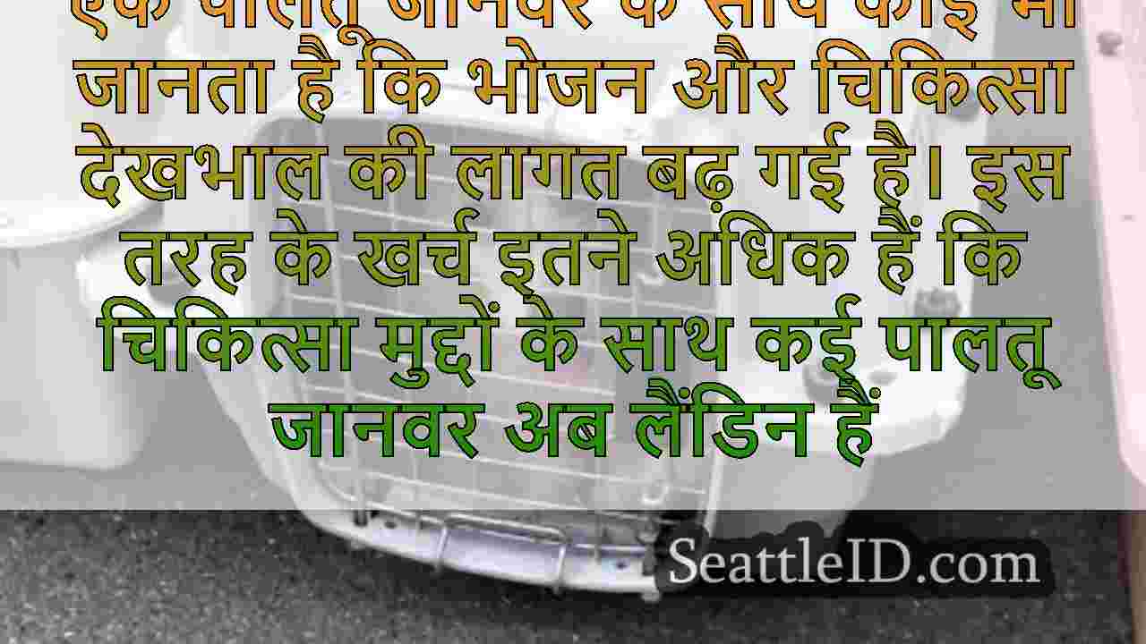 सिएटल समाचार SeattleID