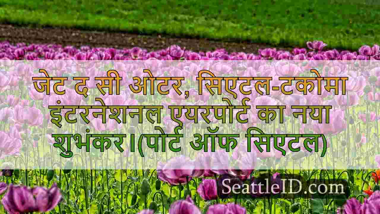 सिएटल समाचार SeattleID