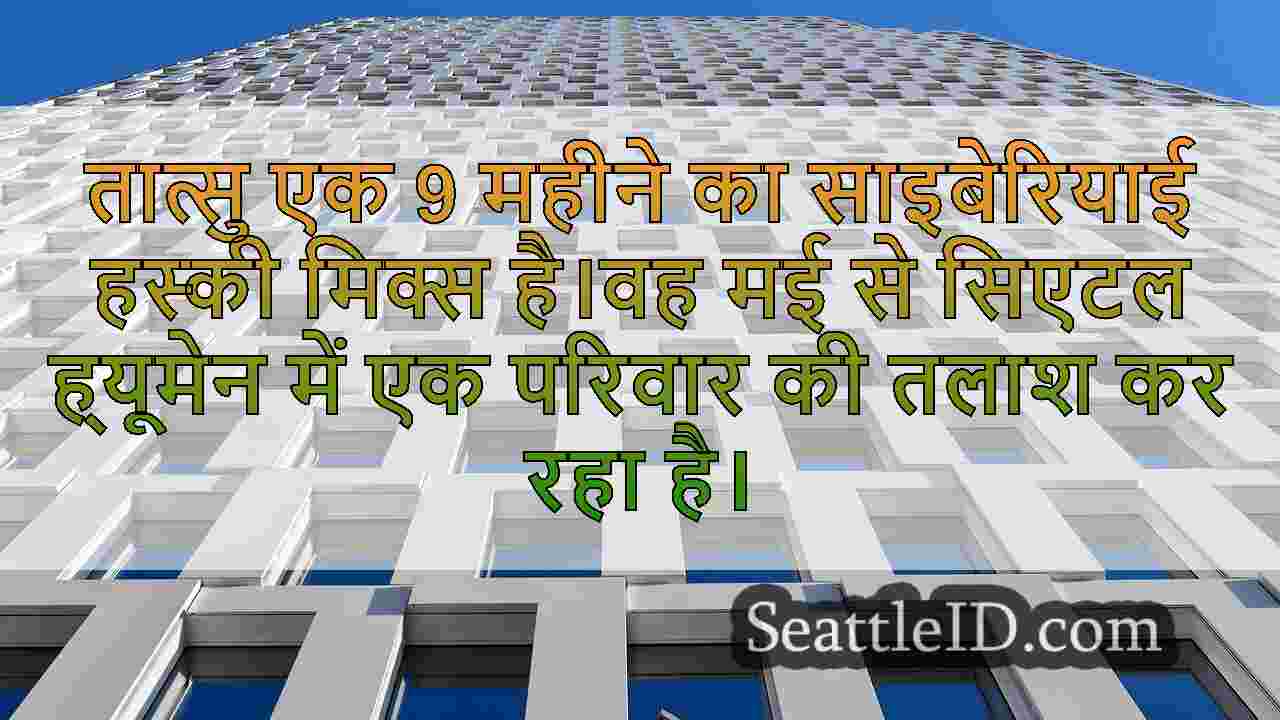 सिएटल समाचार SeattleID