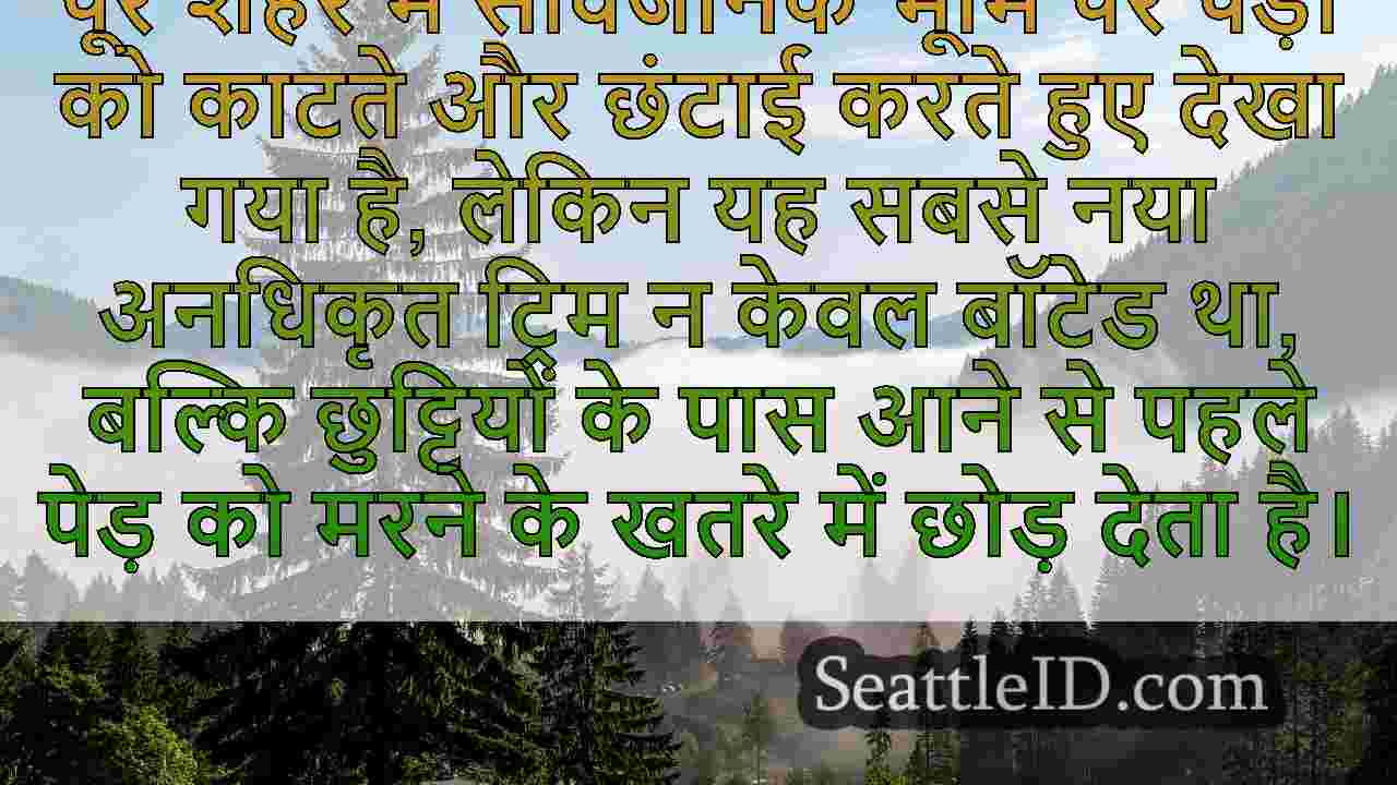 सिएटल समाचार SeattleID