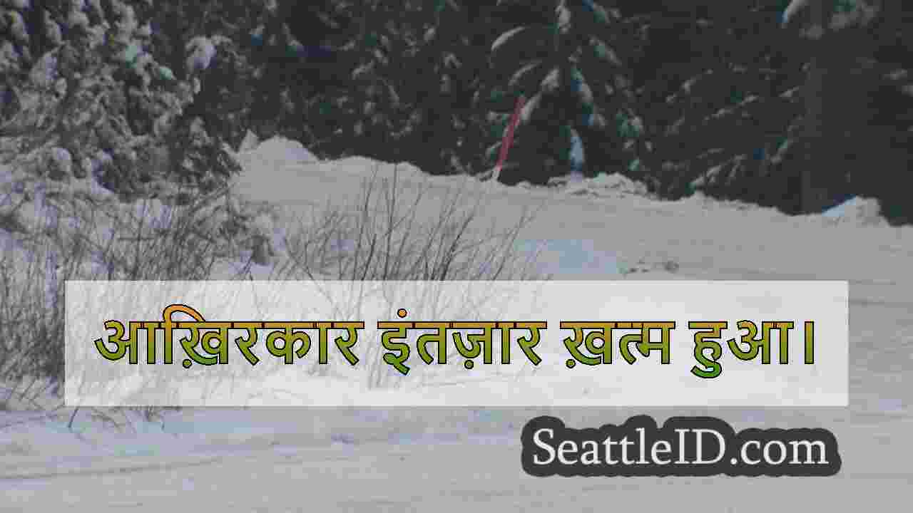 सिएटल समाचार SeattleID