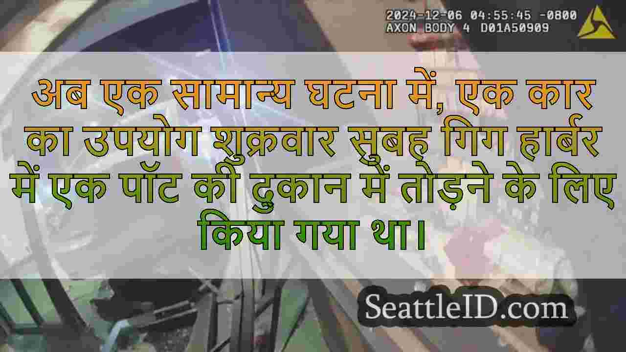 चोर चोरी के दौरान गिग हार्बर पॉट शॉप