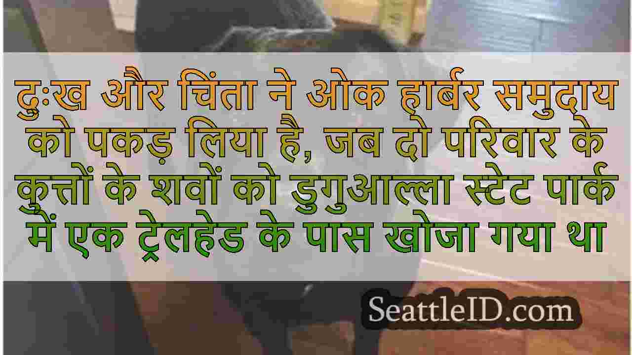 सिएटल समाचार SeattleID