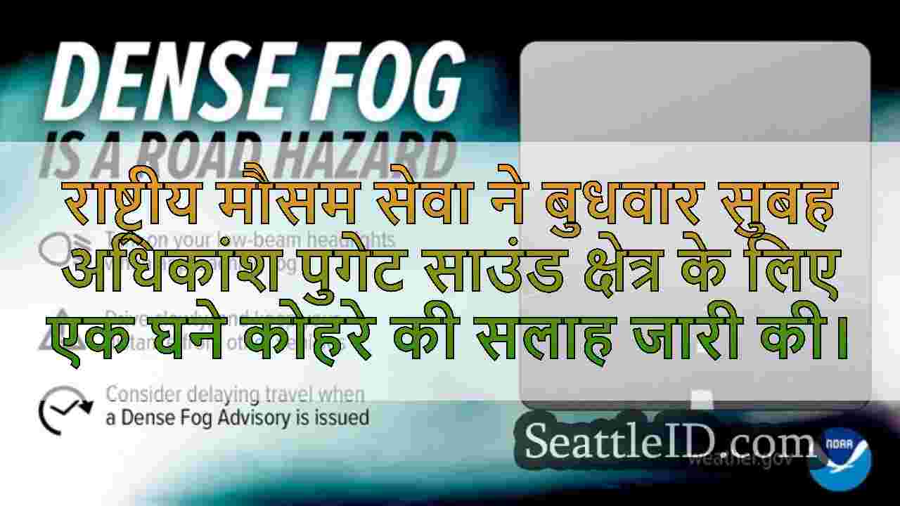 सिएटल समाचार SeattleID