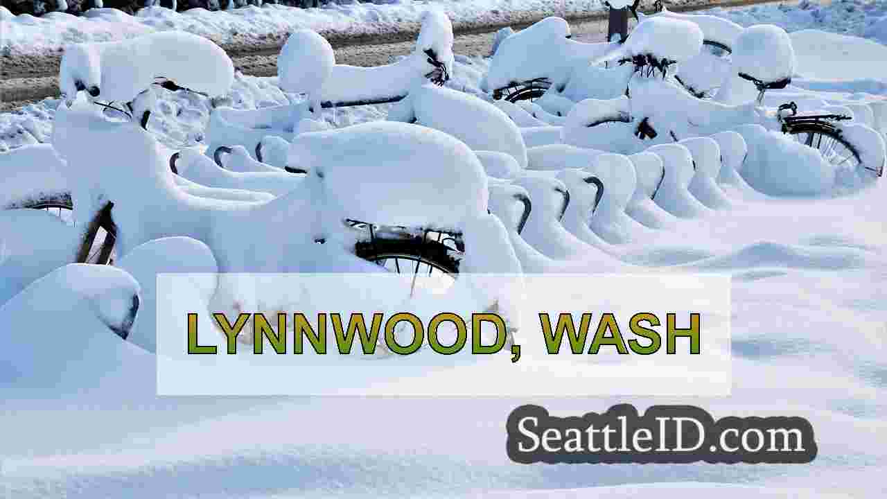 सिएटल समाचार SeattleID