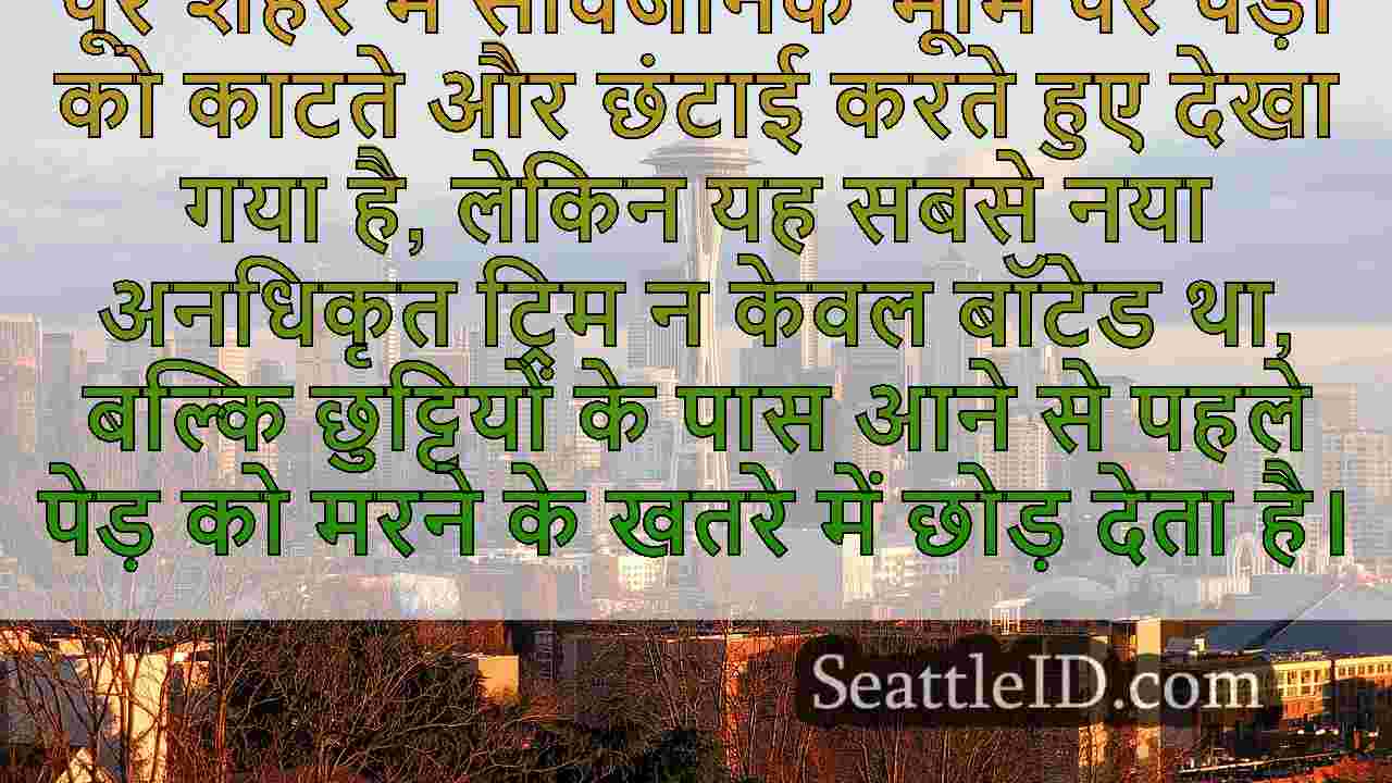 मैन 'ट्रिम्स' वेस्ट सिएटल जंक्शन
