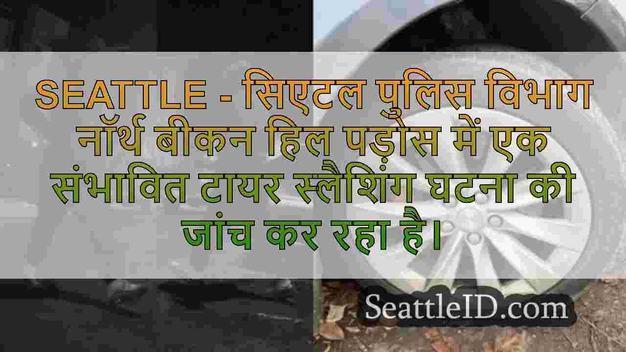 कथित टायर स्लैशर ने एक पोर्श में नॉर्थ