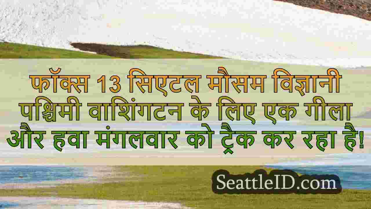 सिएटल समाचार SeattleID