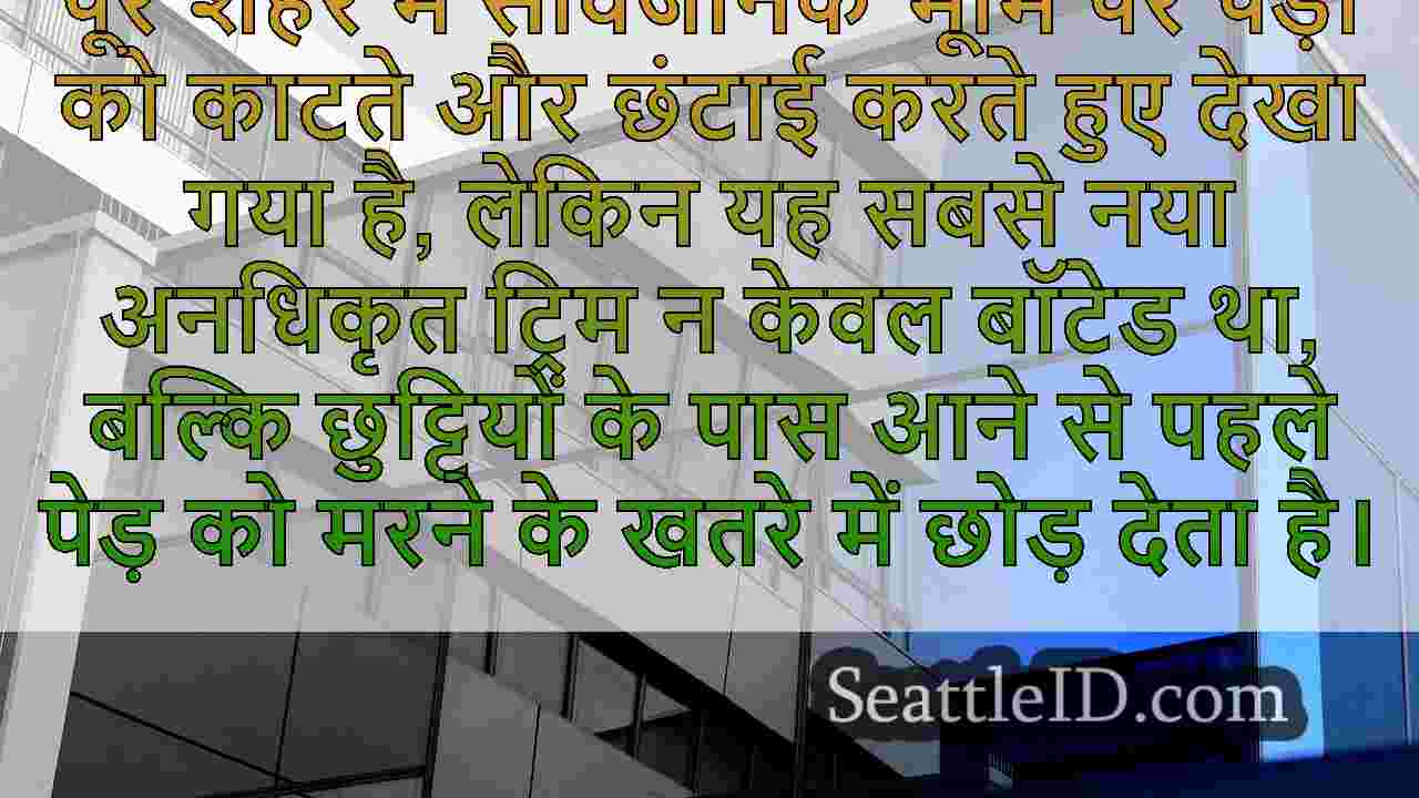 सिएटल समाचार SeattleID