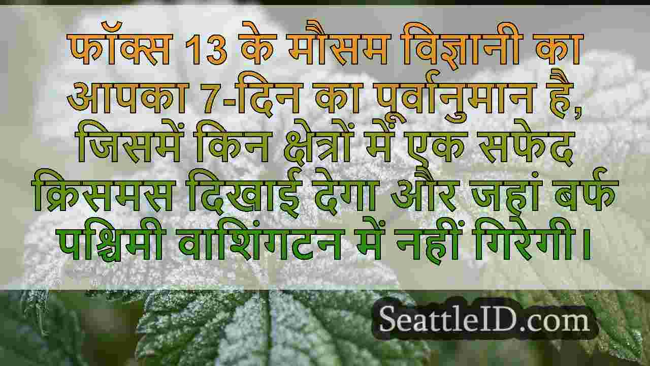 सिएटल समाचार SeattleID
