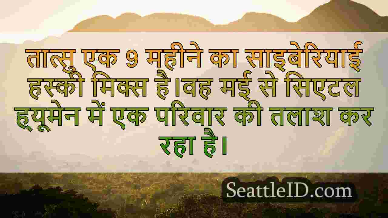 सिएटल समाचार SeattleID